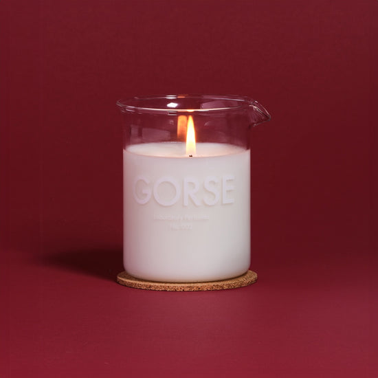 Gorse Scented Candle (200g)