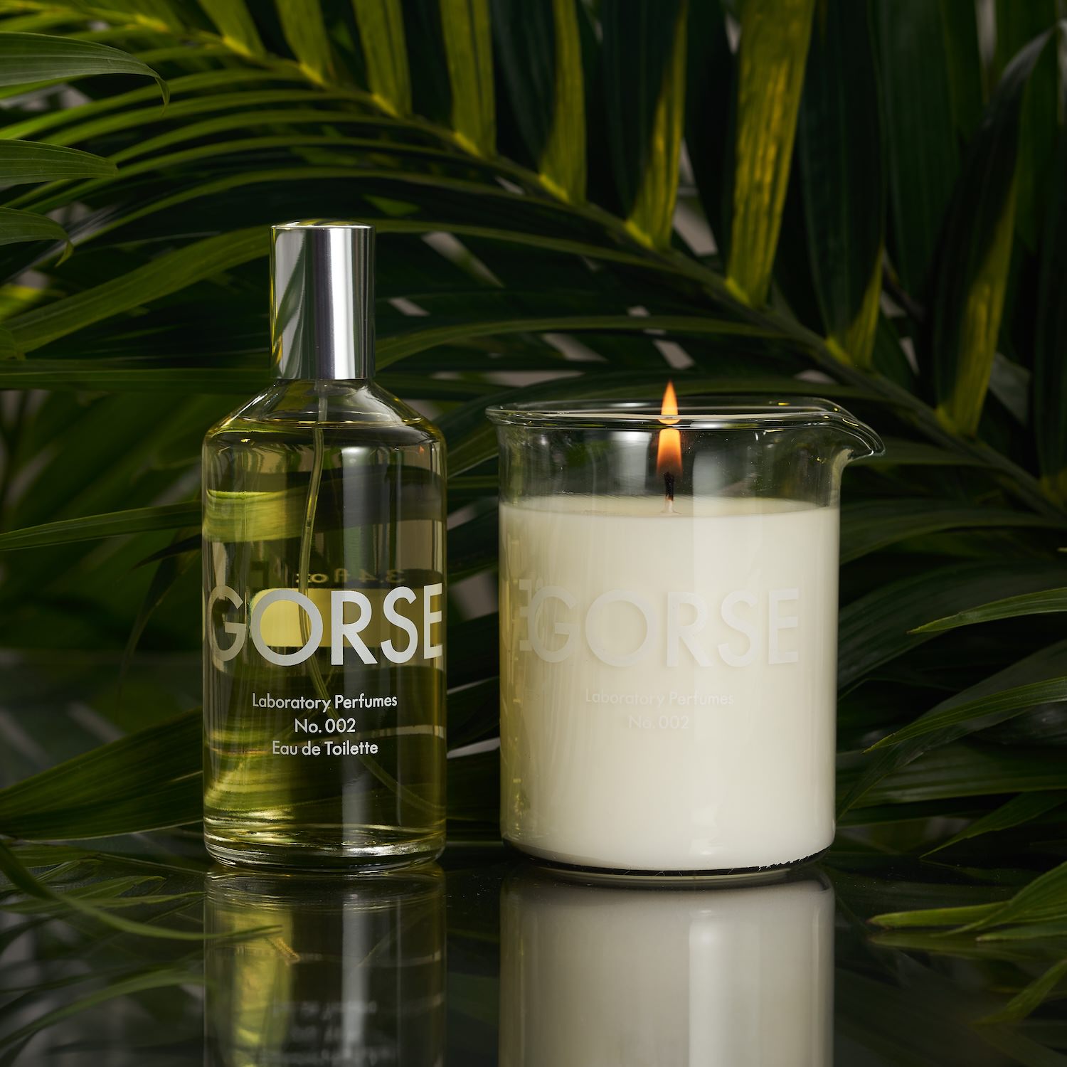Gorse Set (100ml + 200g)