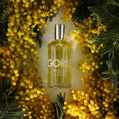 Gorse Eau De Toilette (100ml)