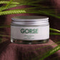 Gorse Cream (200ml)
